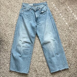 Light Blue Barrel Leg Women's Zara Jeans